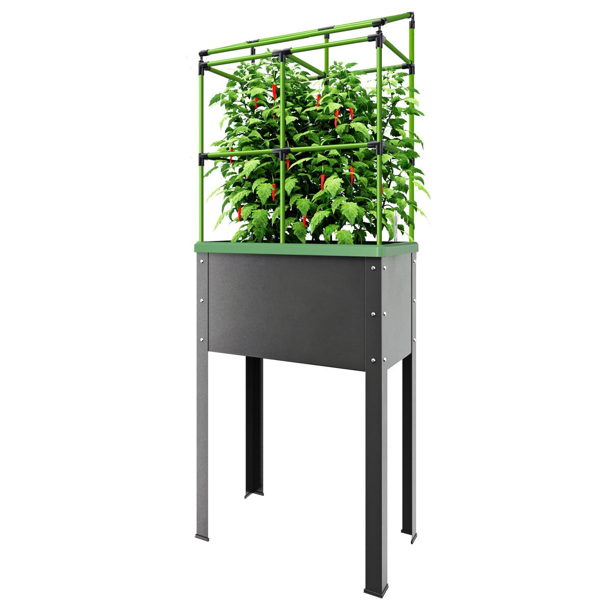 Bio Green Hochbeet mit Rankhilfe City Jungle Heidelberg