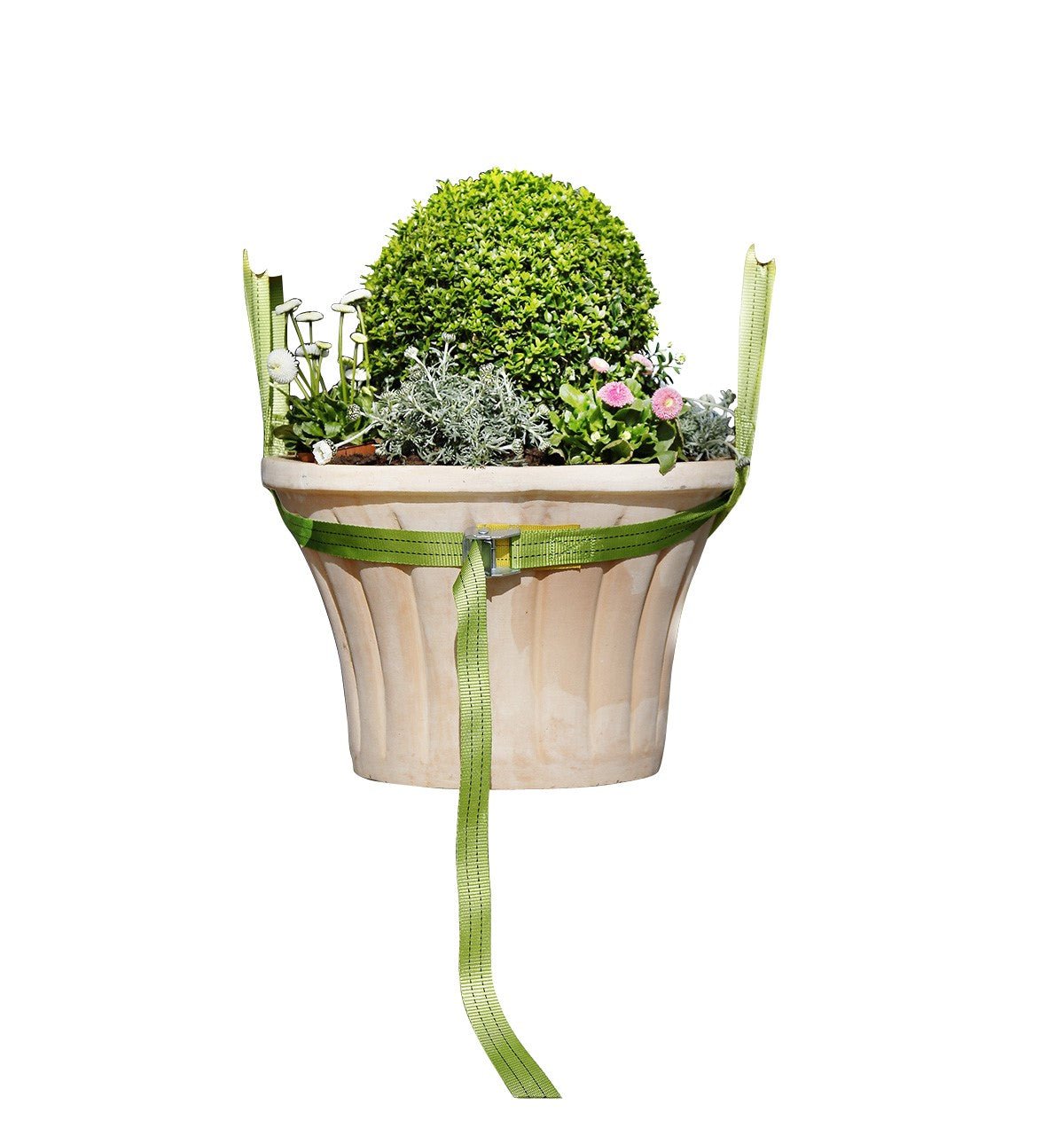 Bio Green Tragegurt für Kübelpflanzen